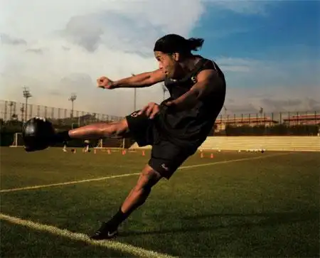 这也验证了 这也验证了